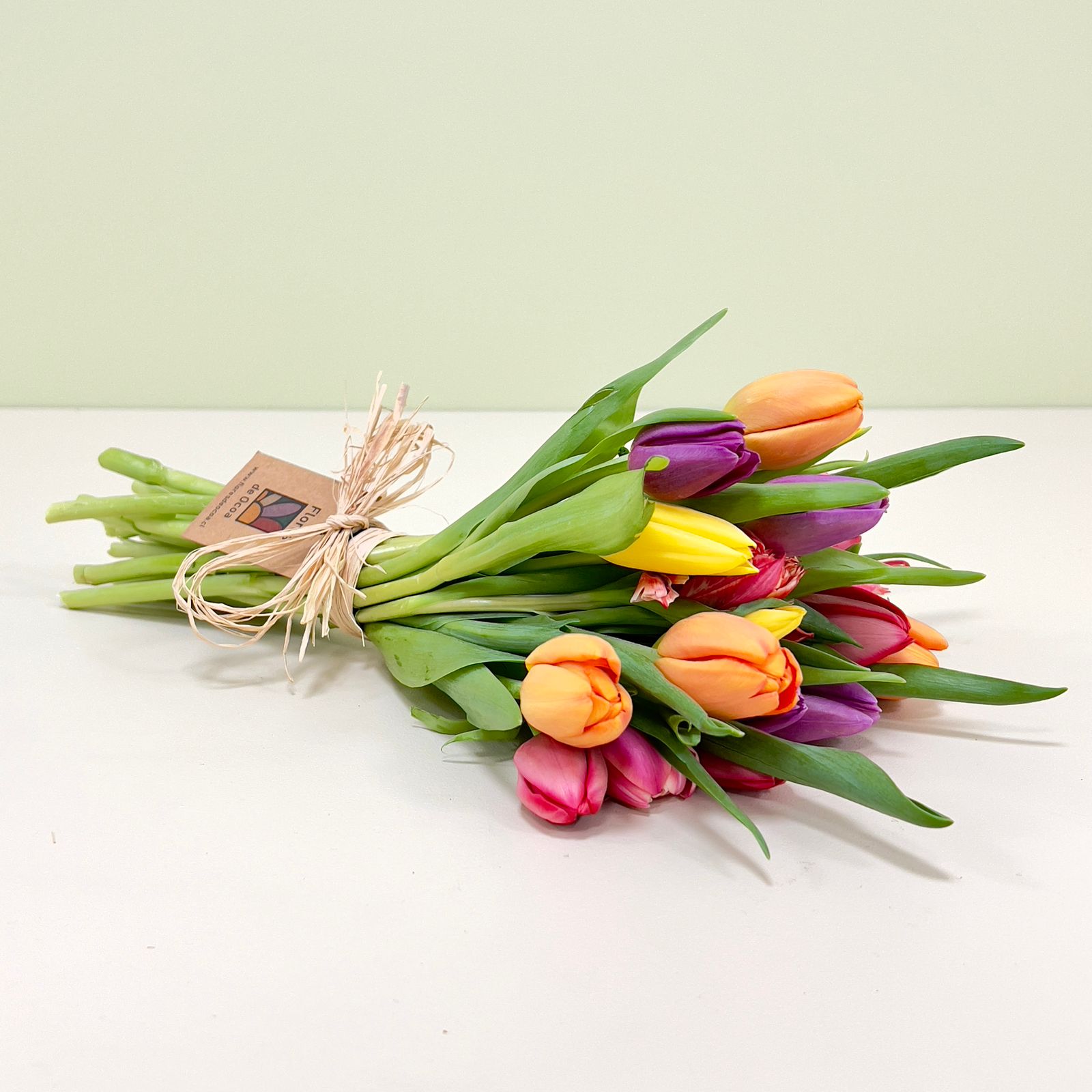 Ramo Colorido de 20 Tulipanes DCTO