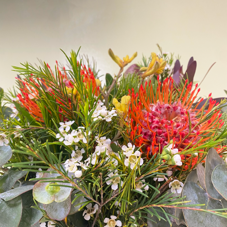 Florero Mix Leucadendron