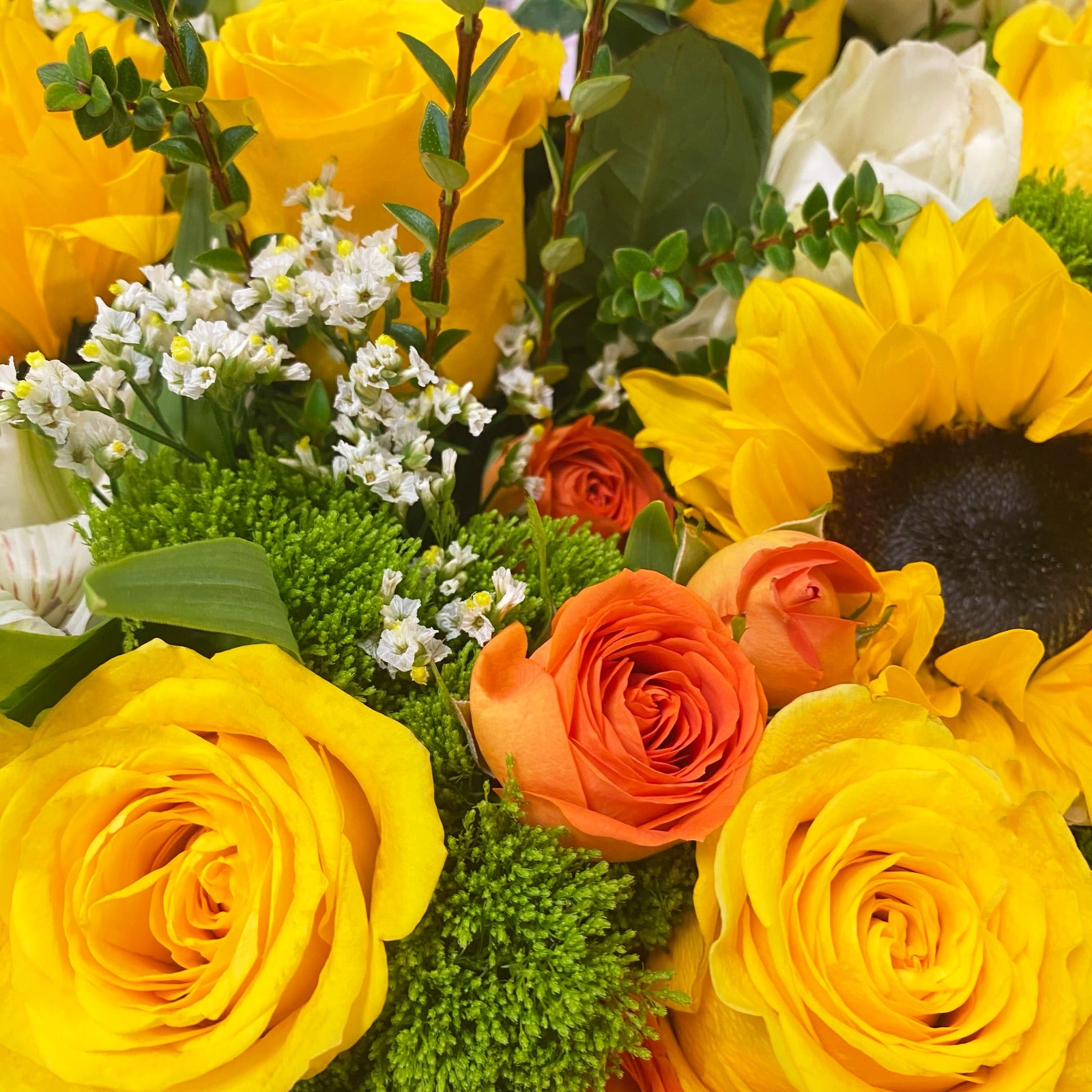 Florero Girasoles XXL | 100 Varas