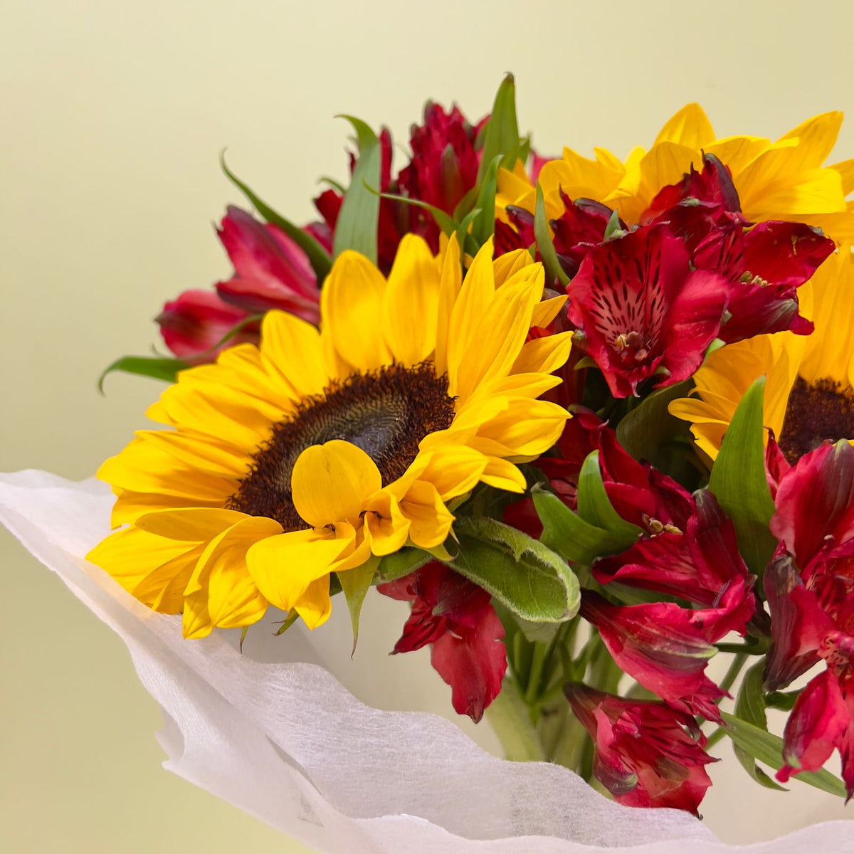 Girasoles y Alstroemerias Rojas RDS