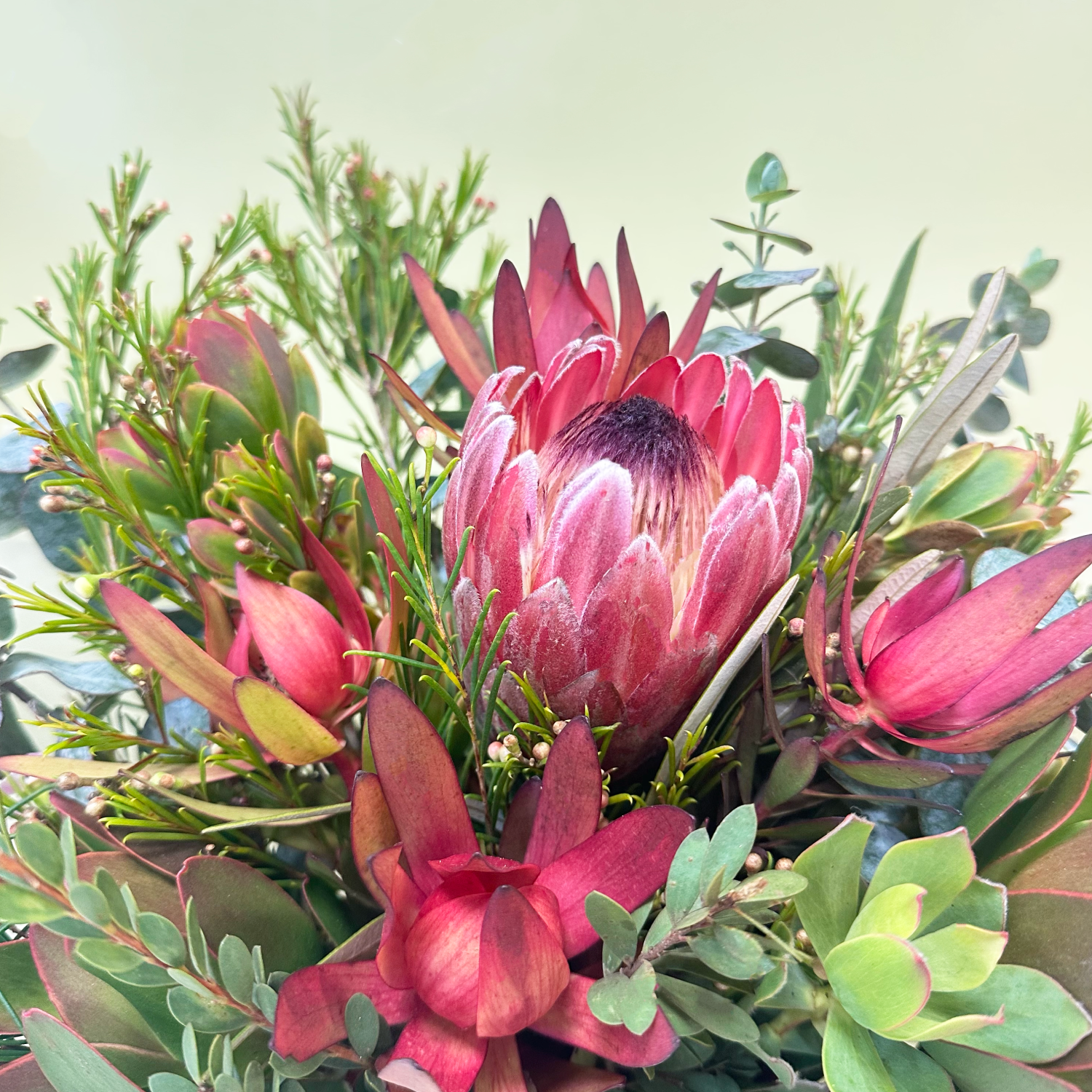 Ramo Mix Leucadendron+Chocolate