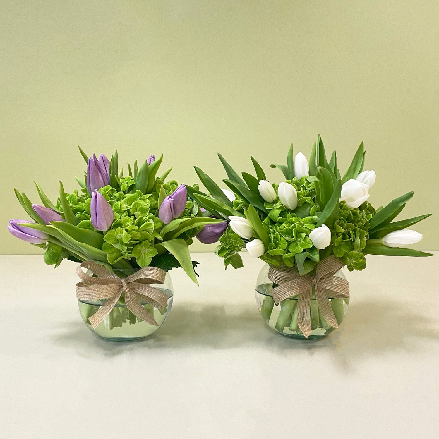 Pecera Tulipanes Lila