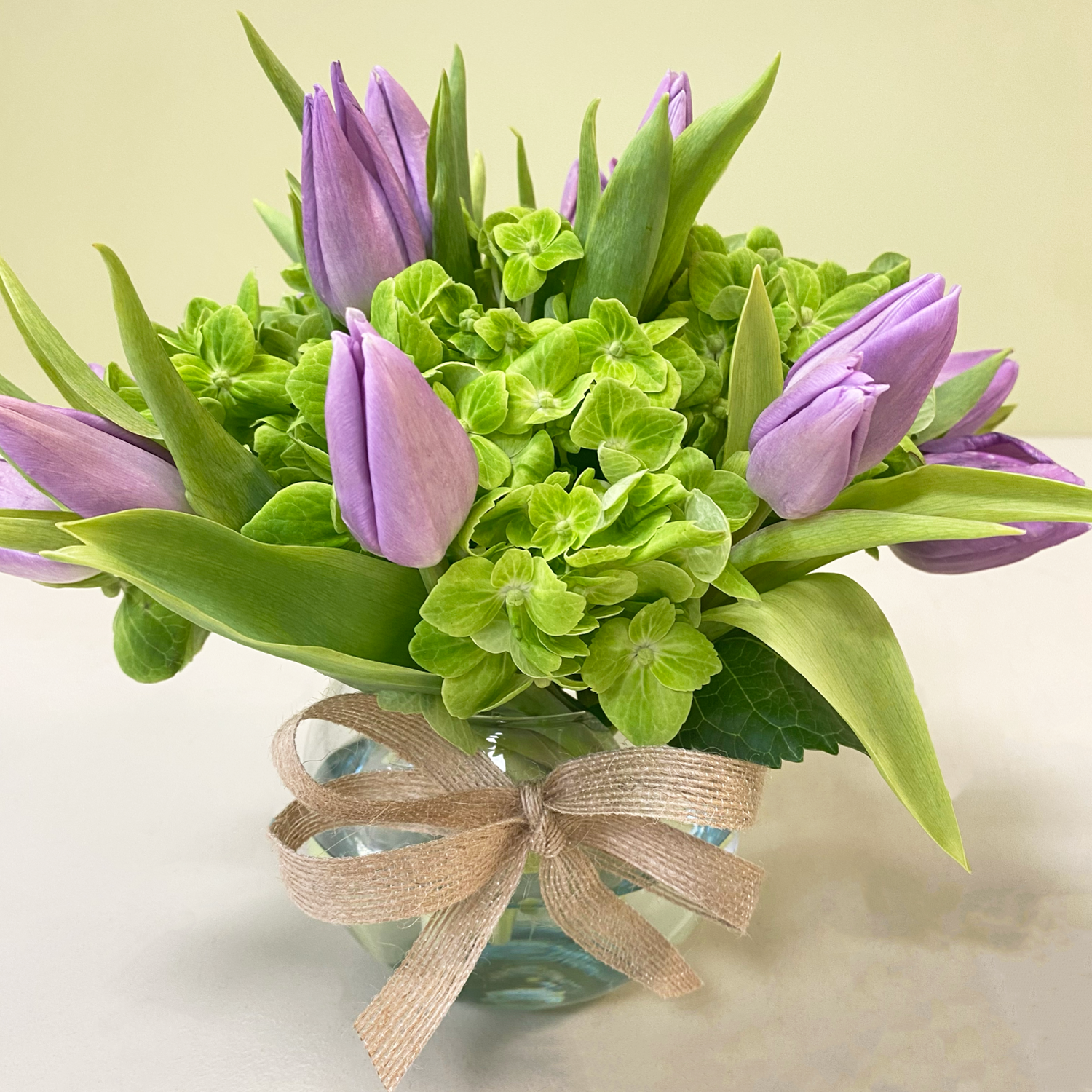 Pecera Tulipanes Lila