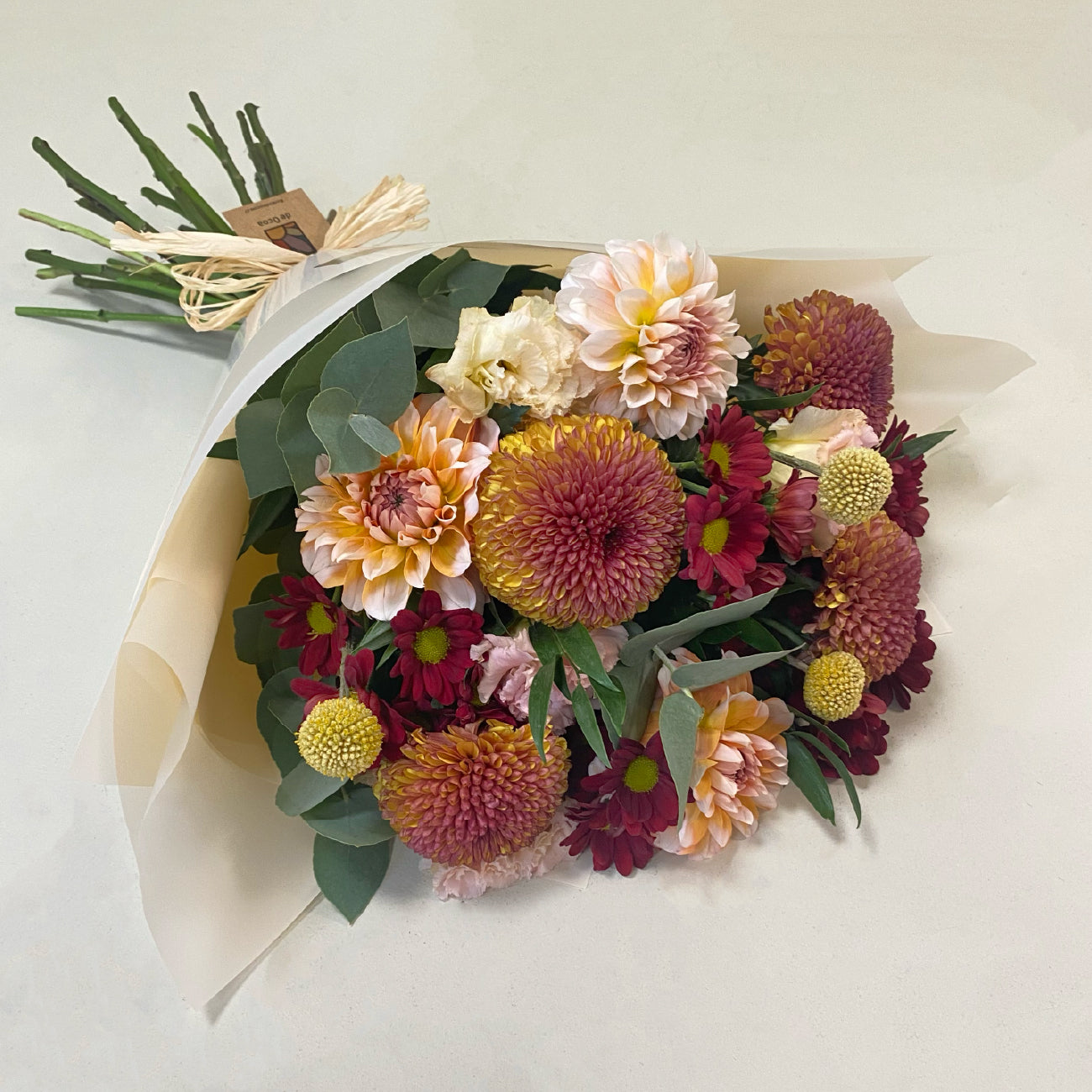 Dalias & Disbud | Otoño