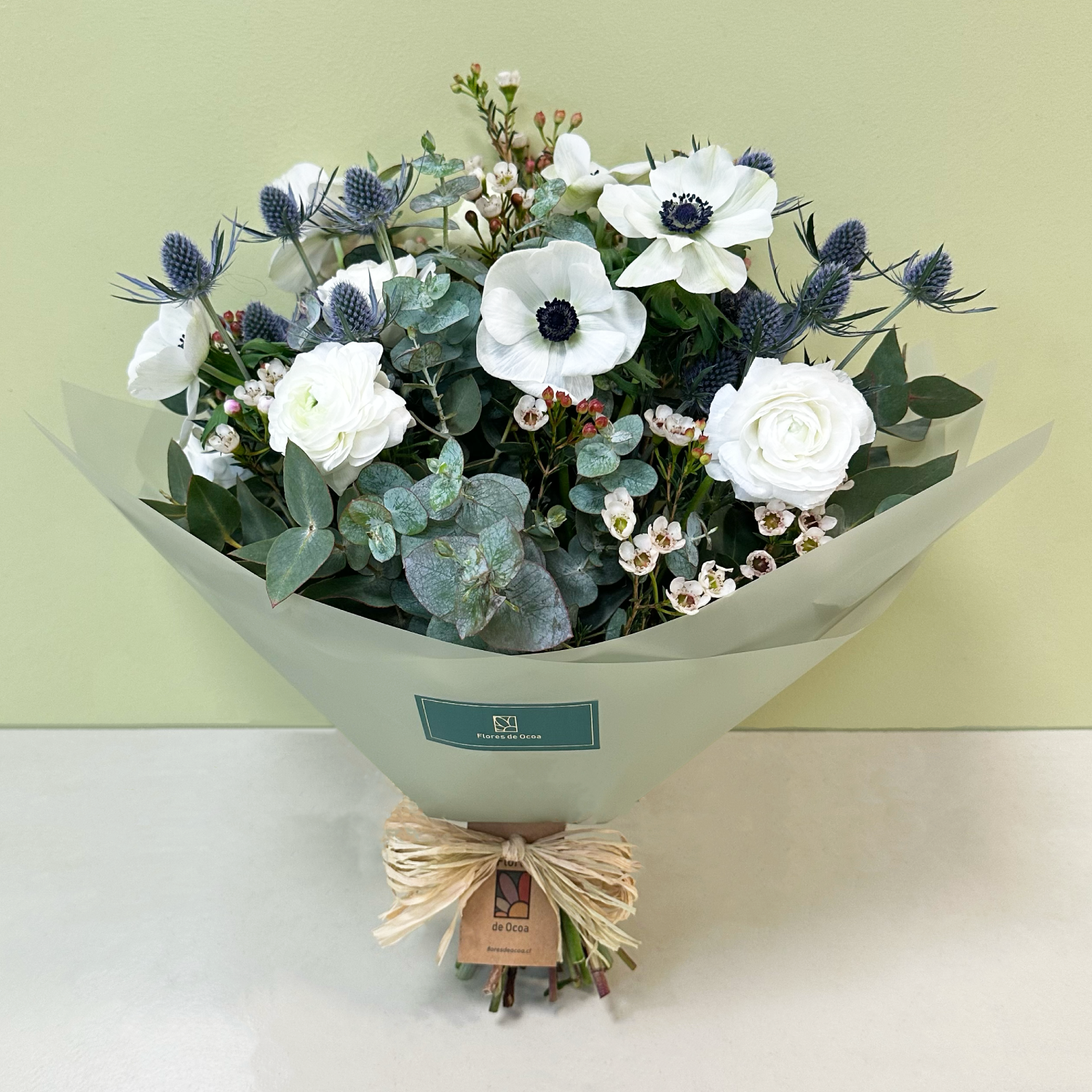 Anémonas & Eryngium