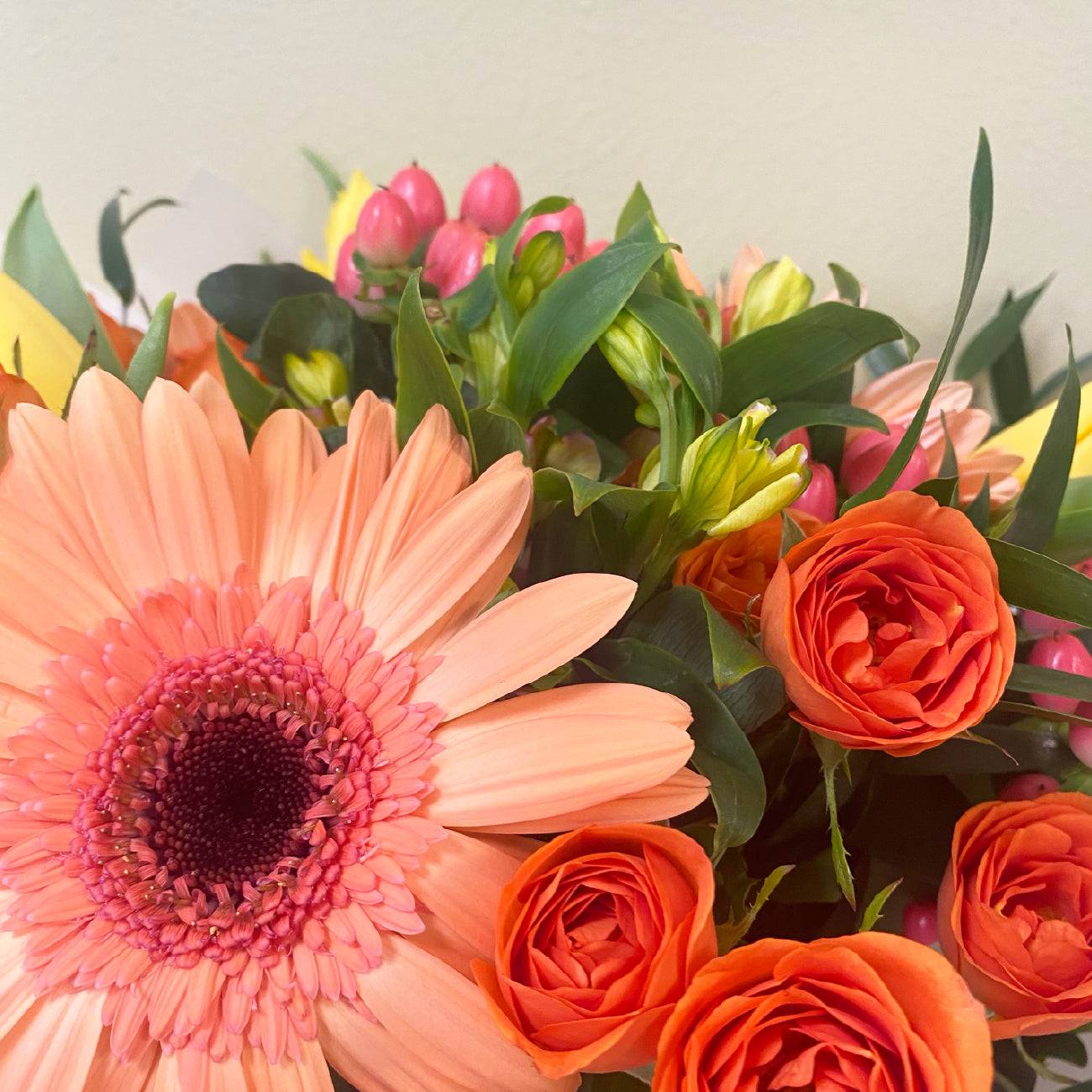 Tulipan & Gerberas | Otoño