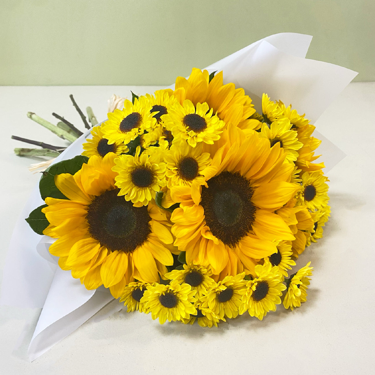 Girasoles & Pompon | Otoño