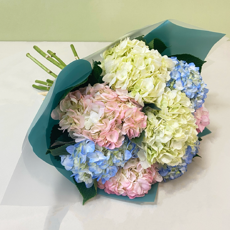 Ramo 8 Hortensias Pastel