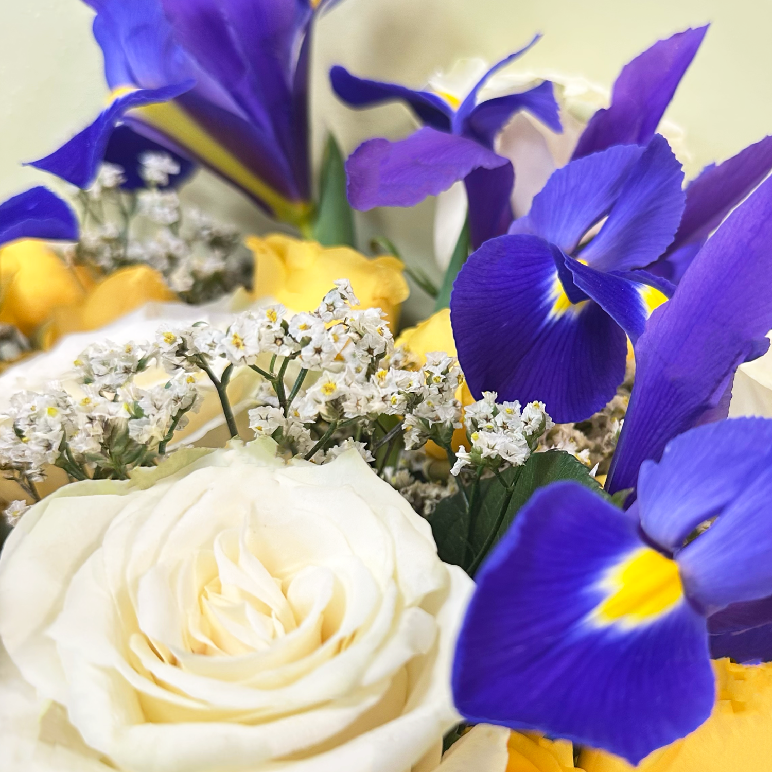 Ramo Iris Mix
