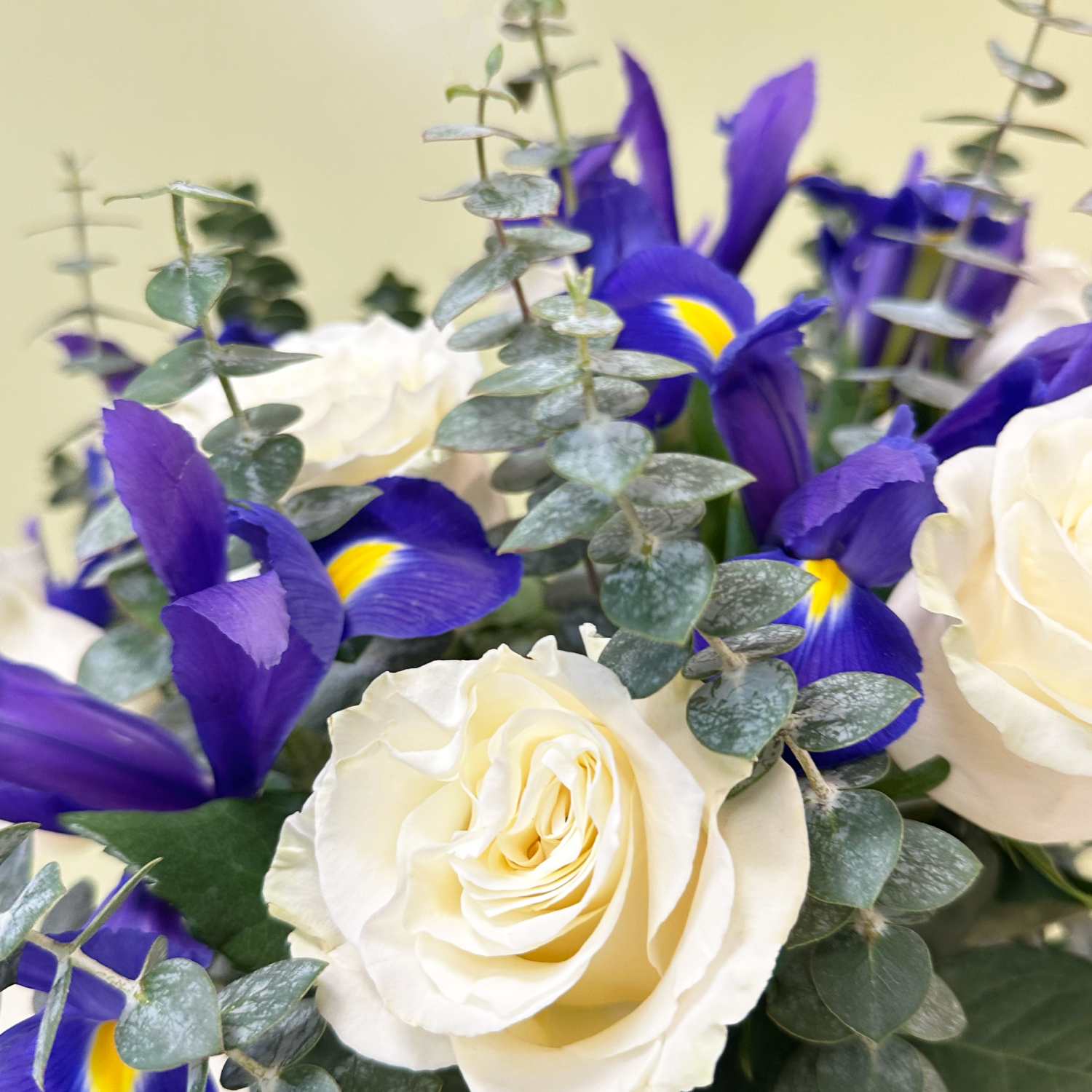 Ramo de Iris  & Rosas | Invierno