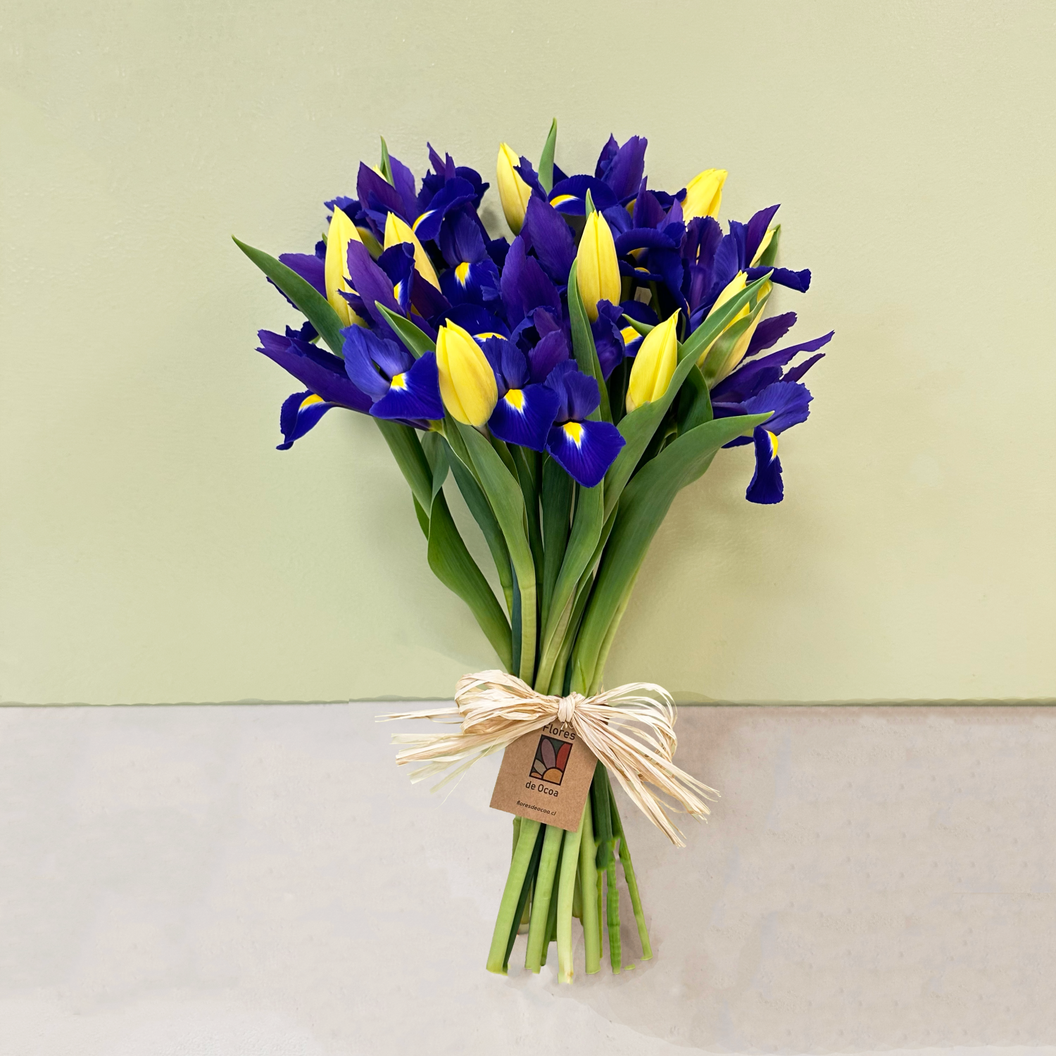 Ramo Iris & Tulipán