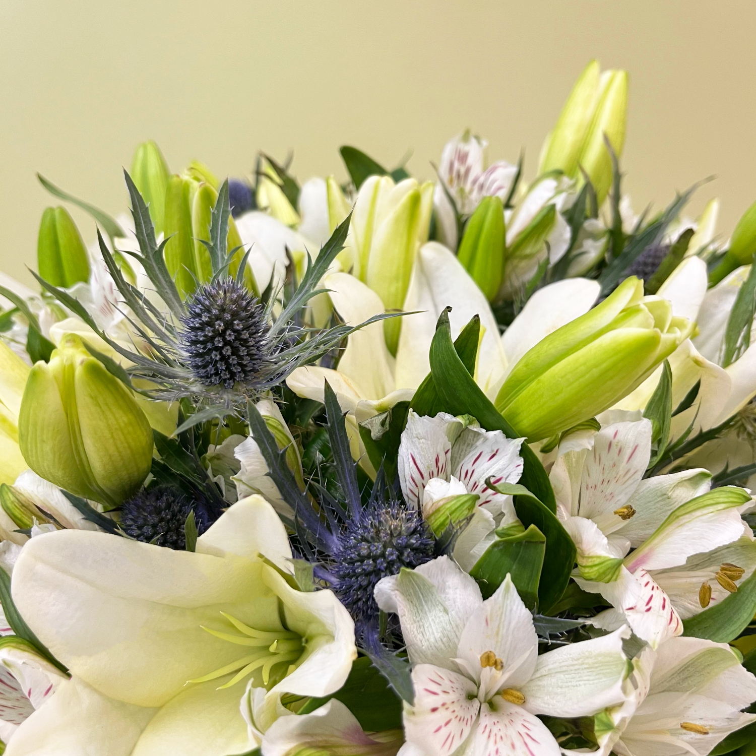 Ramo Lilium & Eryngium