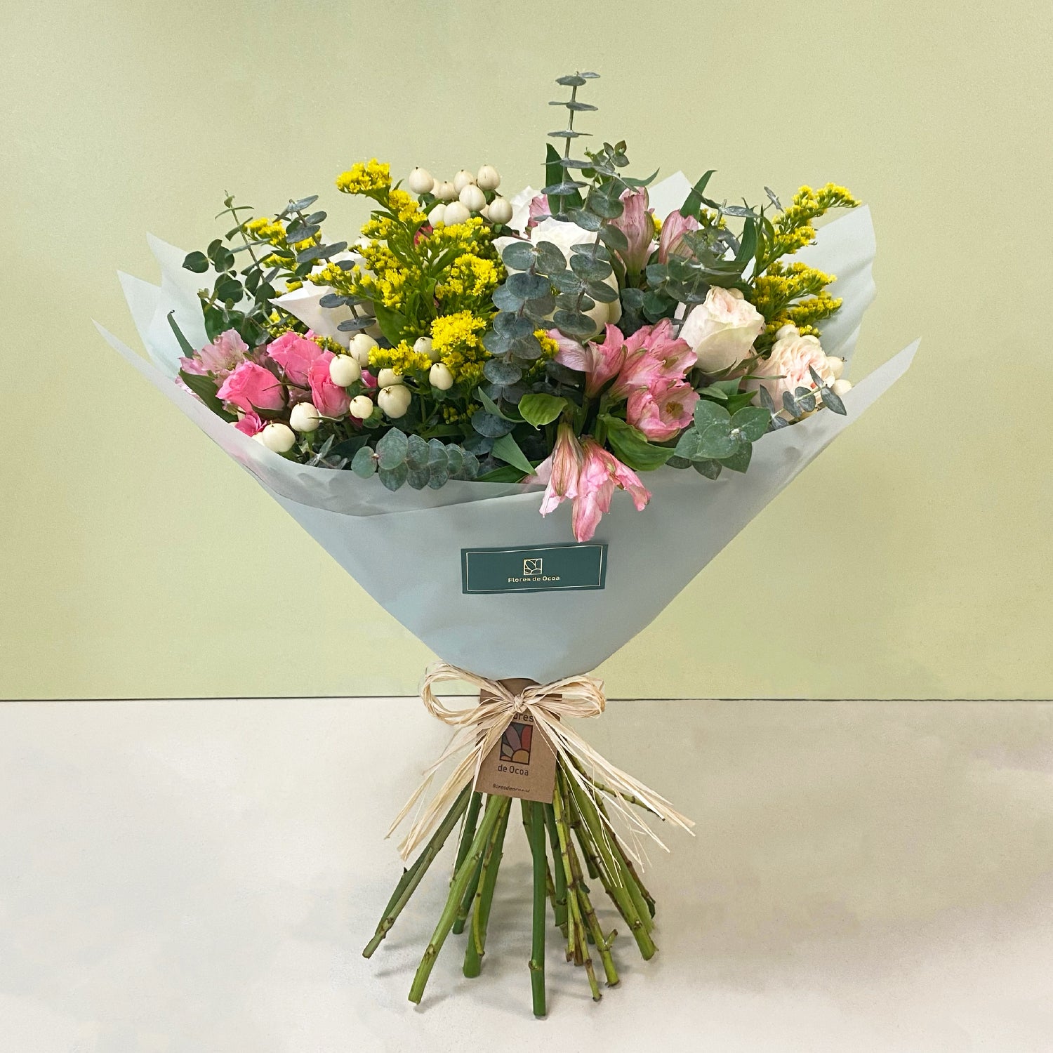 Rosas & Mini Rosas | M12