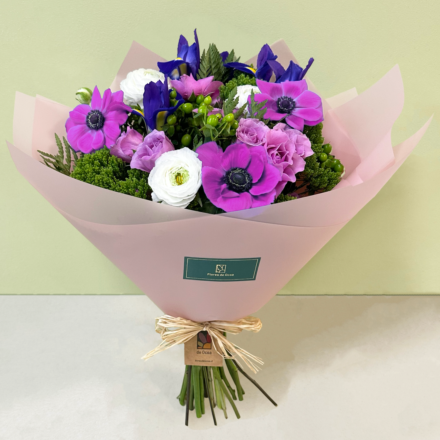 Anémonas & Iris
