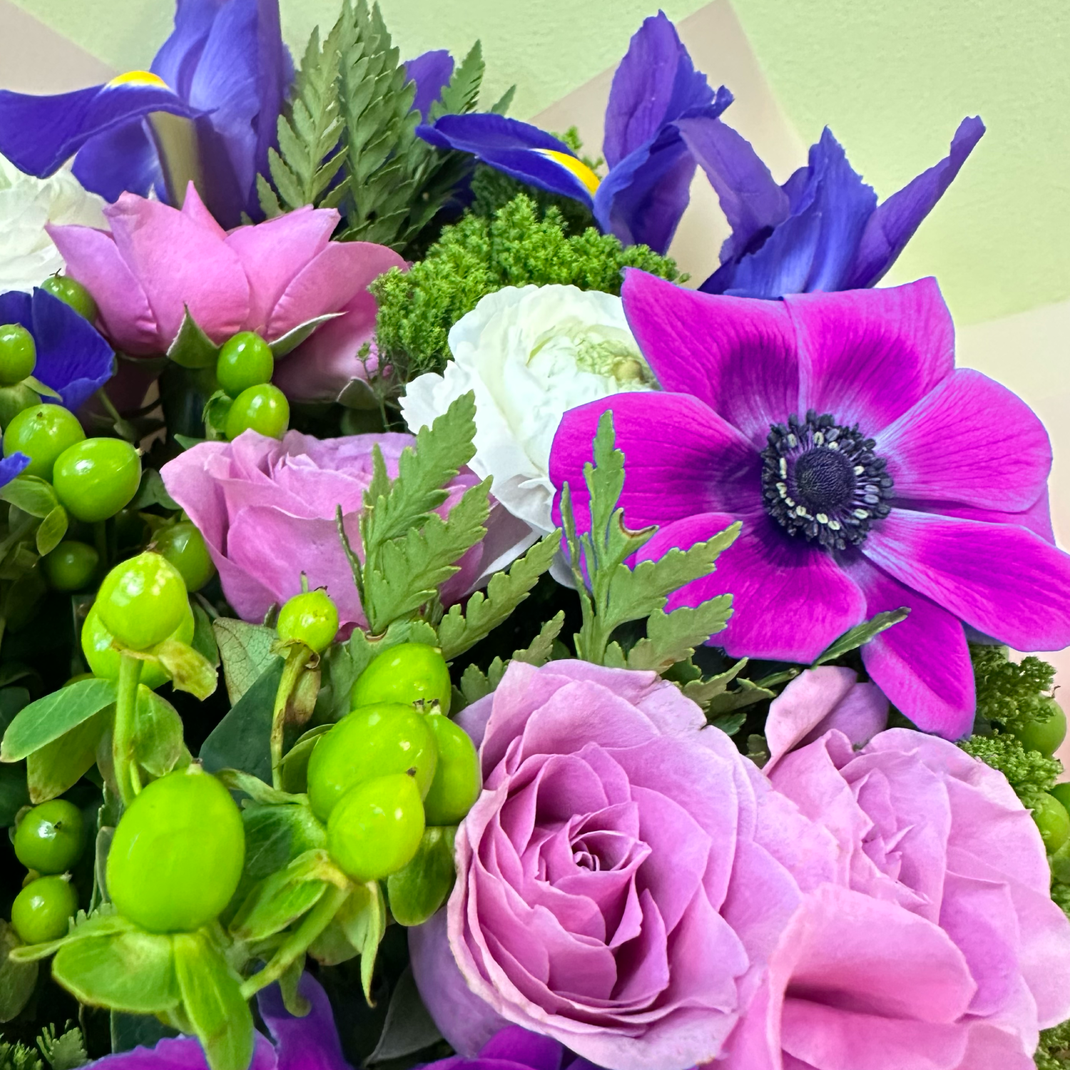 Anémonas & Iris