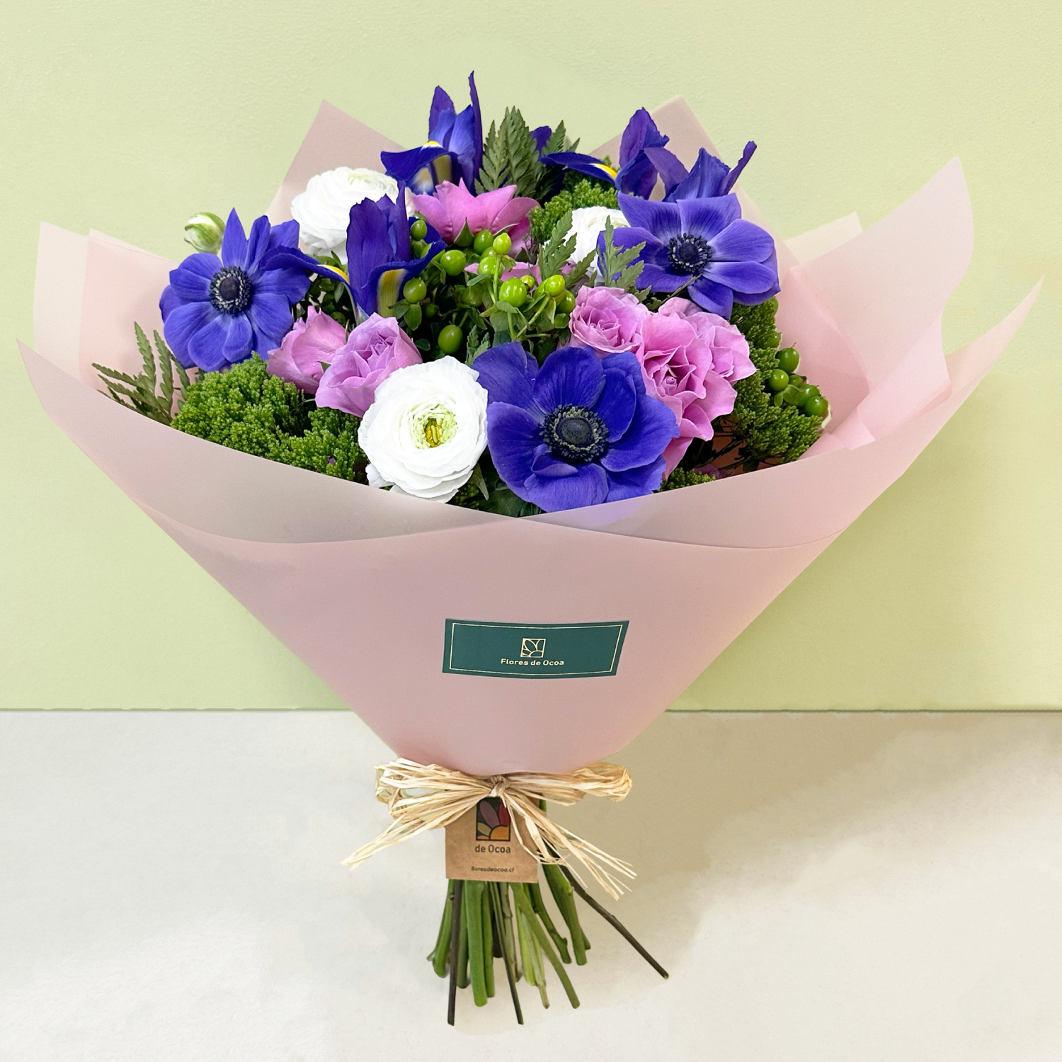 Anémonas & Iris