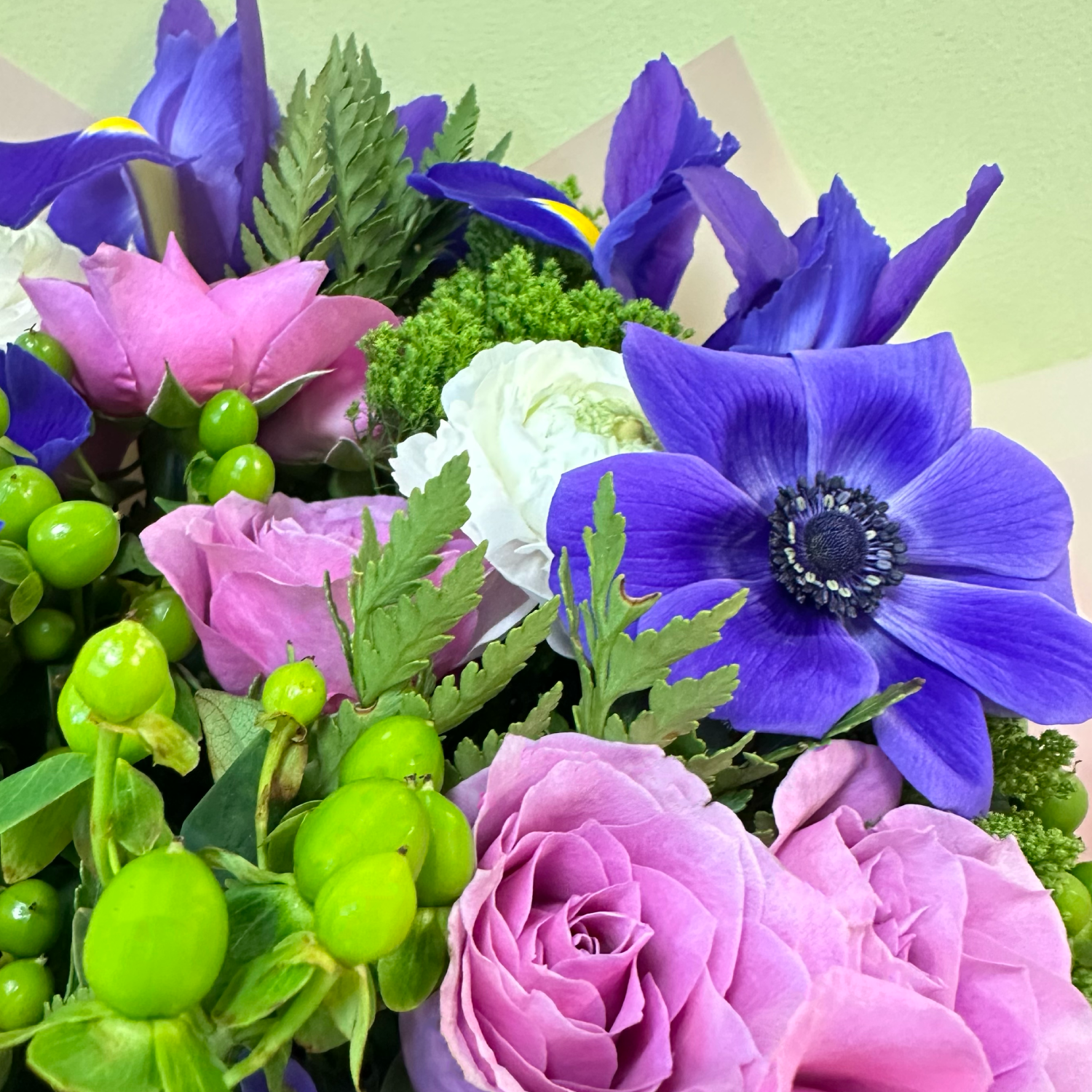 Anémonas & Iris