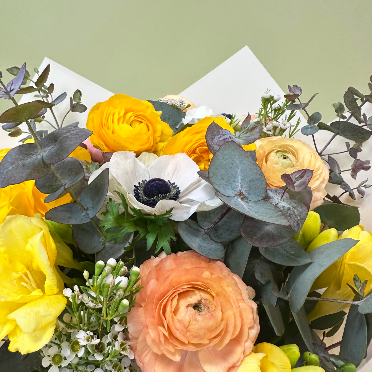 Flores Amarillas | A6
