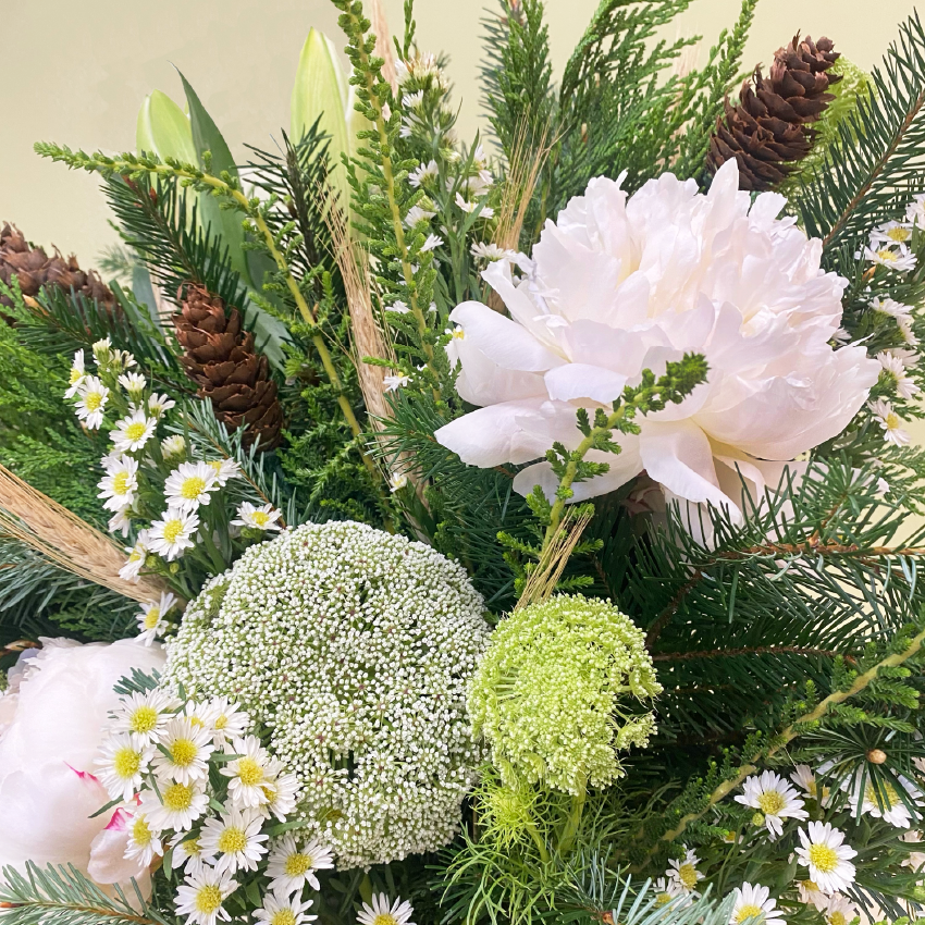 Peonías Blancas & Verdes | Navidad