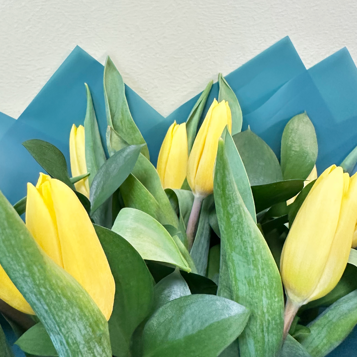10 Tulipanes Amarillos & Ruscus | A18