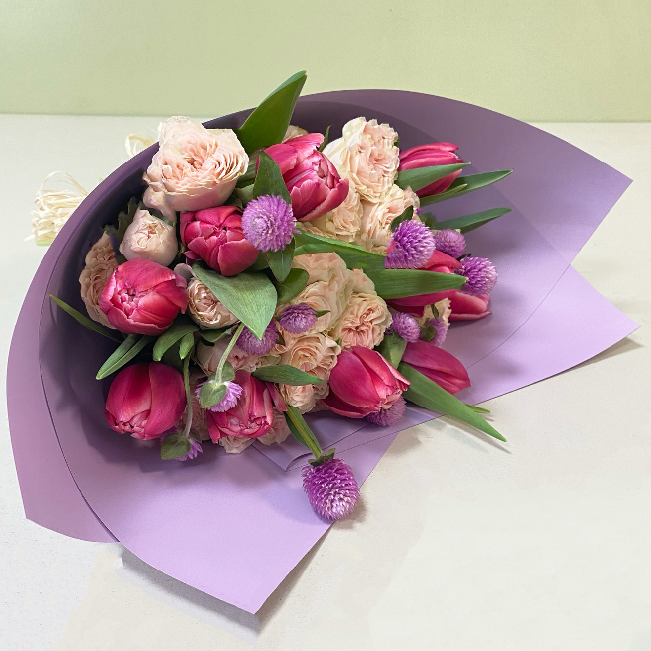 Tulipan & Gonfrenas | Purple