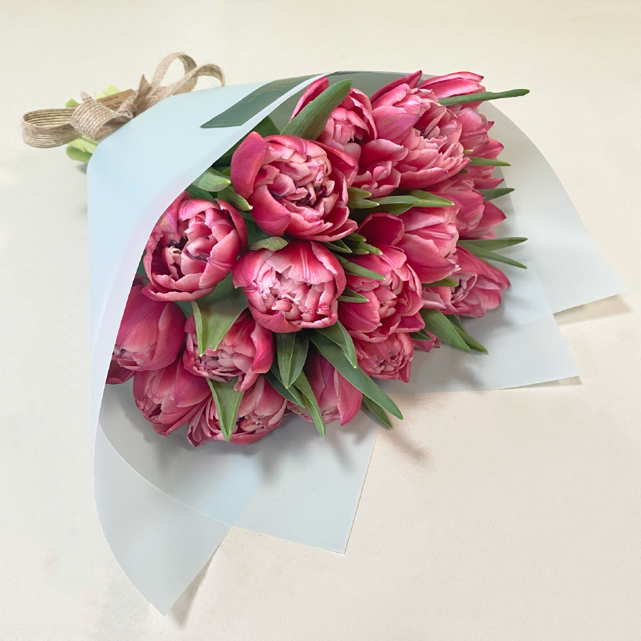 20 Tulipanes Columbus | M27