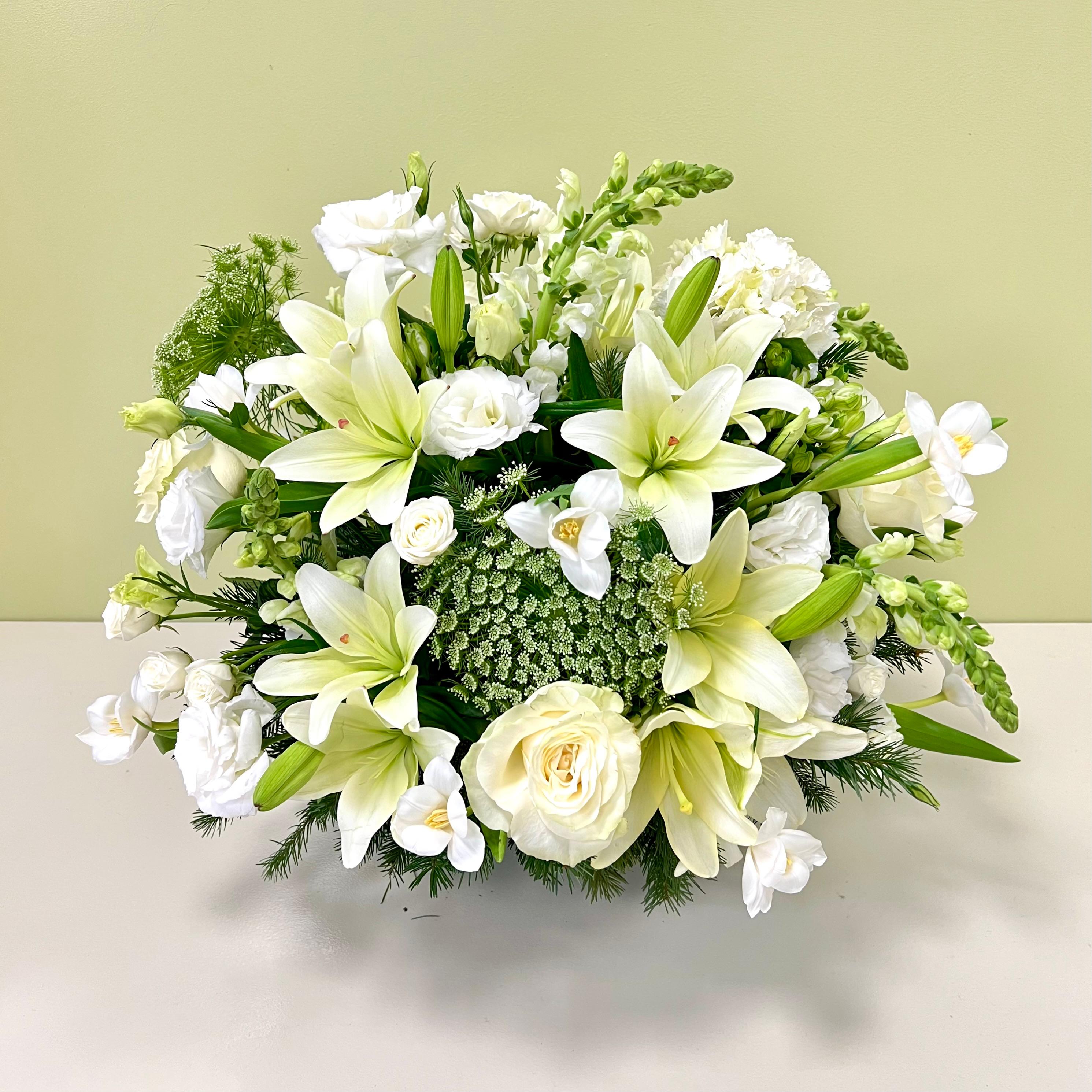 Copa Blanca