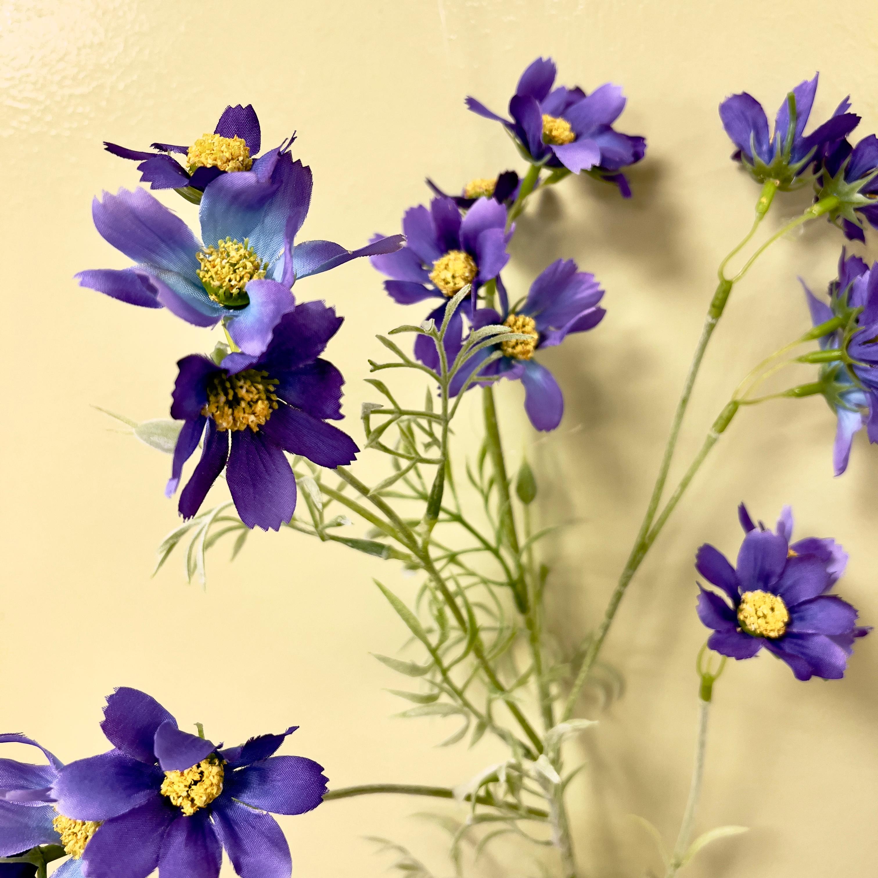 Cosmos Artificial 1 Vara