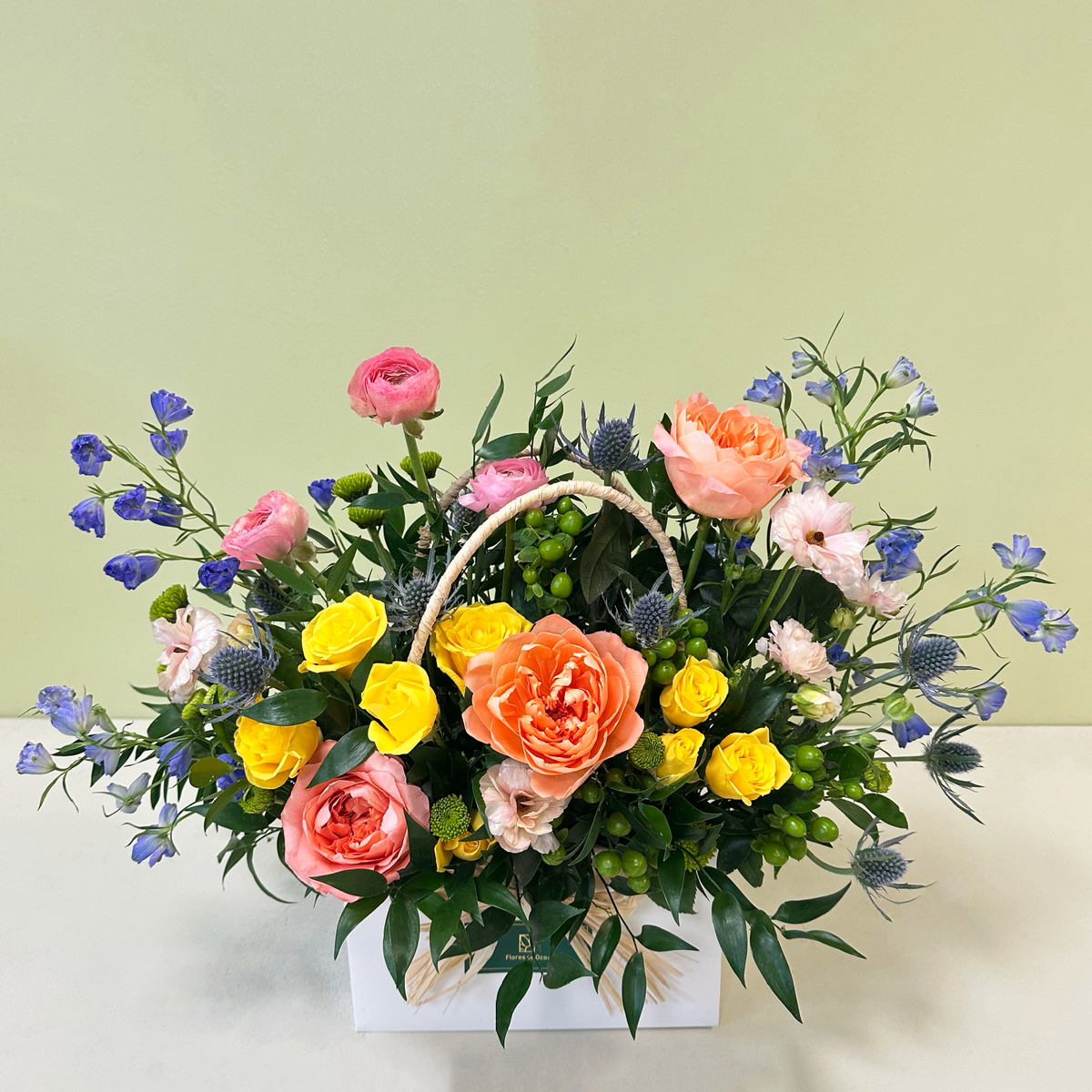 Carterita Garden Rose & Delphinium | Primavera