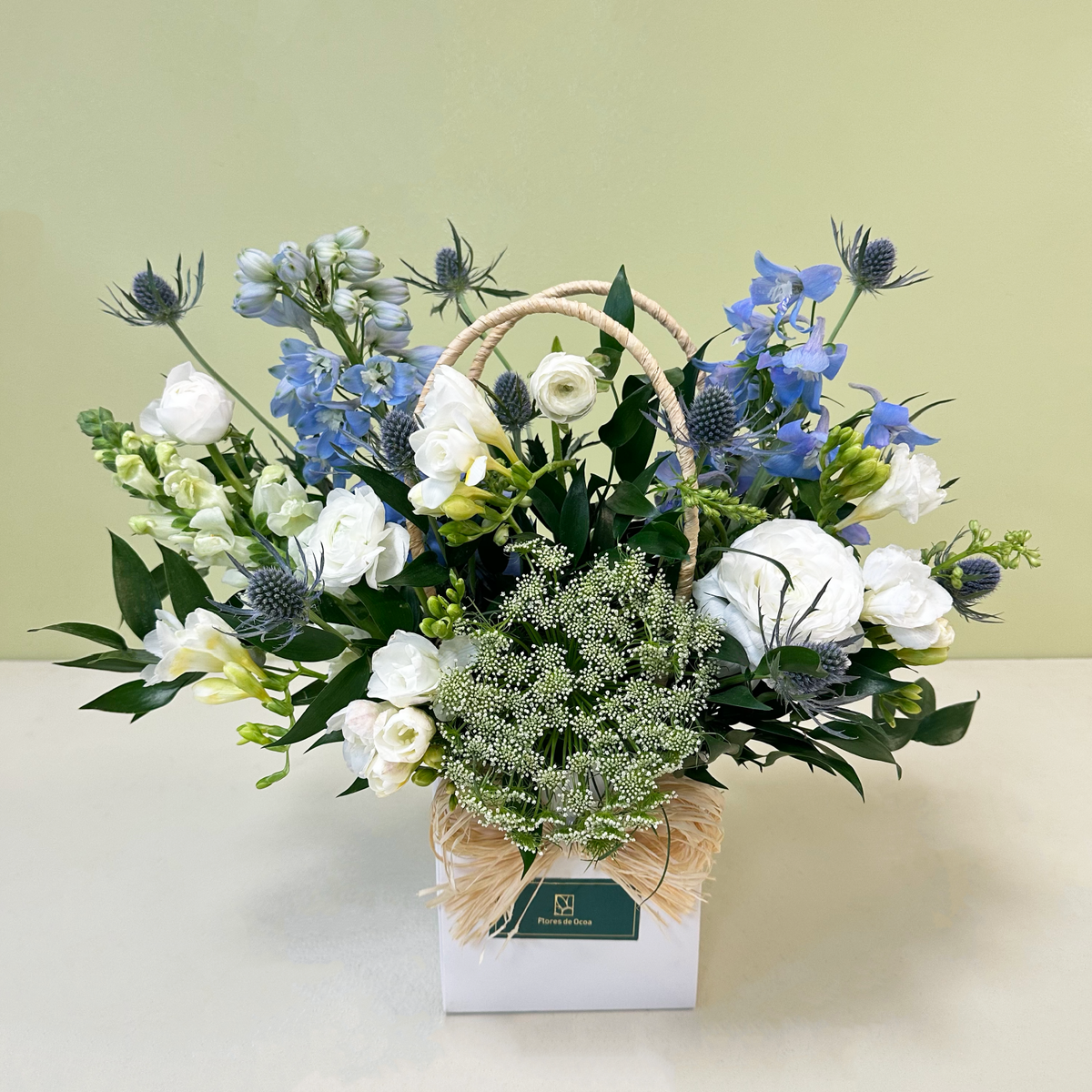 Carterita Delphinium S | Primavera