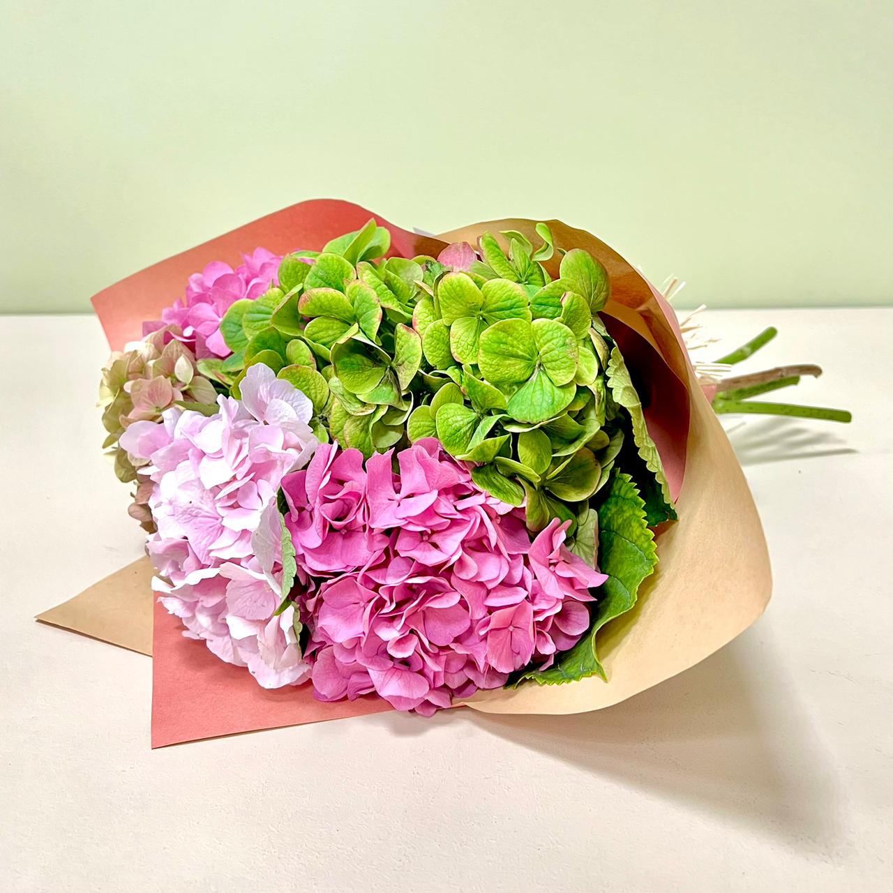 Ramo 5 Hortensias Mix