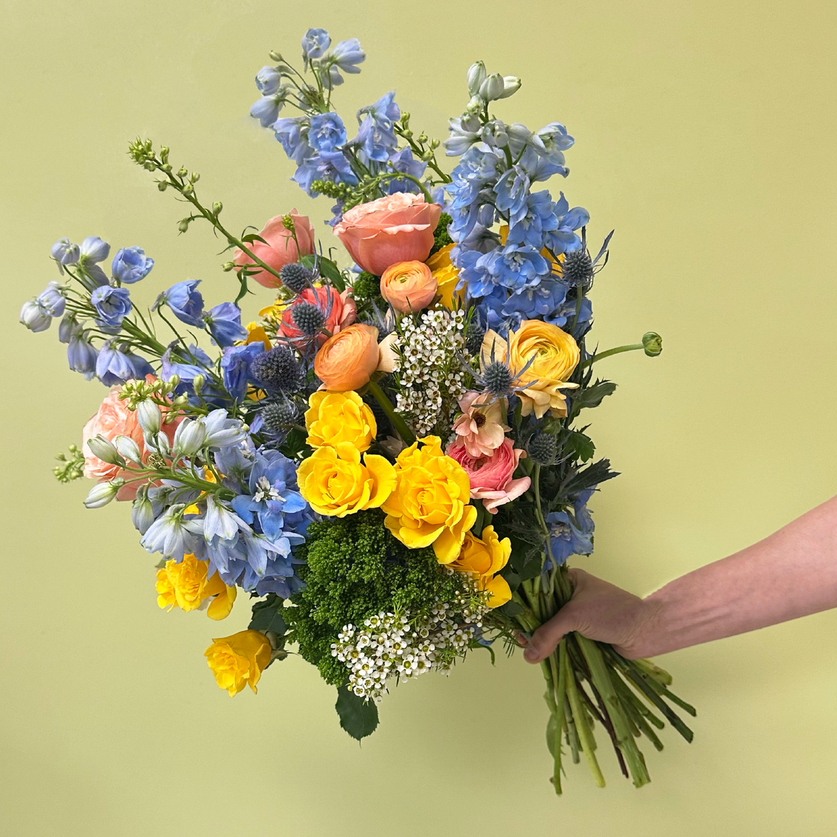 Delphinium & Garden Rose | Primavera