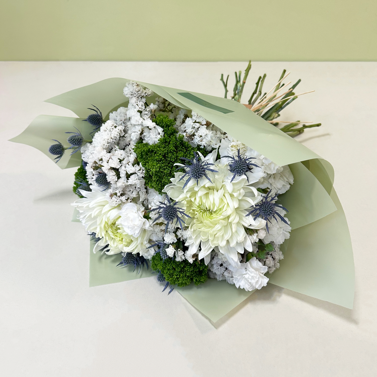 Disbud & Eryngium | Primavera