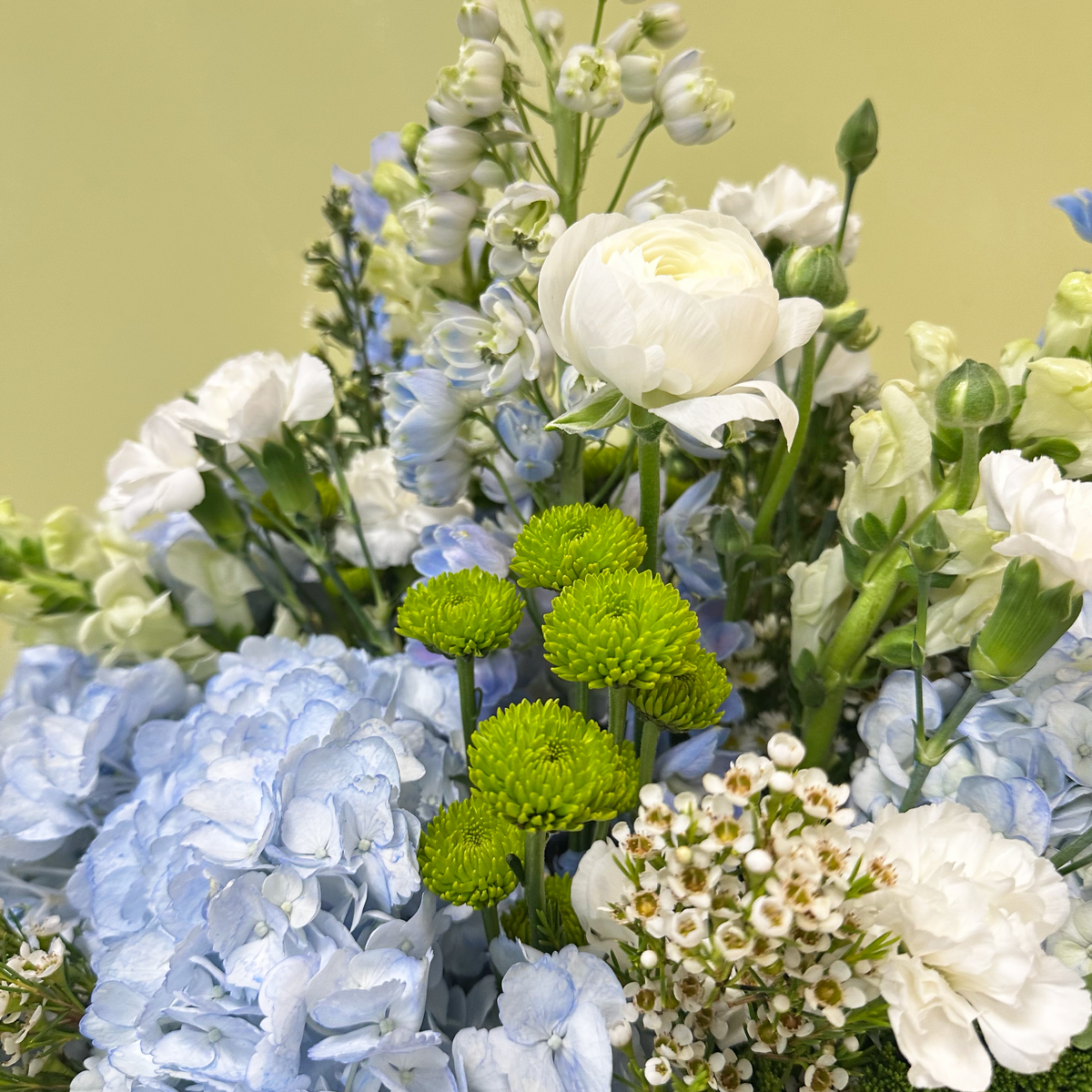 Hortensias & Delphinium | Primavera