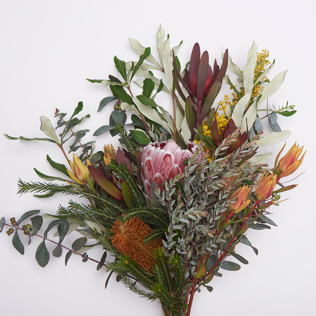 Protea & Mix Leucadendron