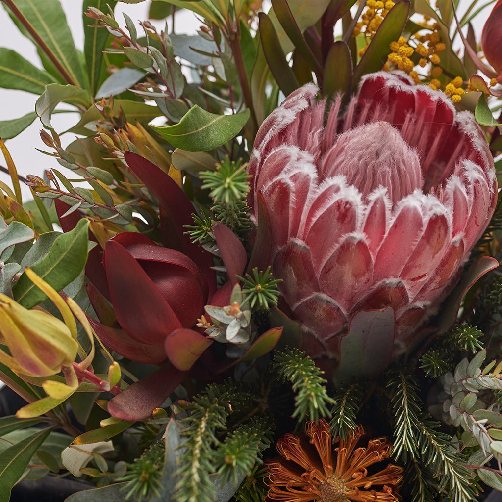 Protea & Mix Leucadendron